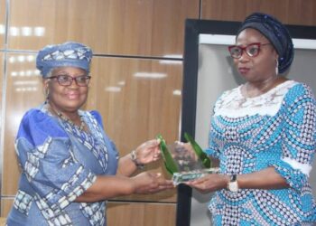 Strategic Diaspora Engagement, A must For Diaspora Contribution – Okonjo-Iweala