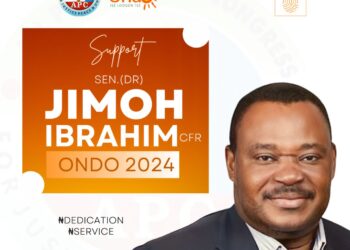 Jimoh Ibrahim Advocates African Debt’s Swap with Climate Change Pain