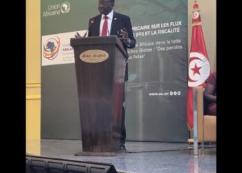 Olukoyede Decries $88.6B Lost to Illicit Financial Flows Annually in Africa