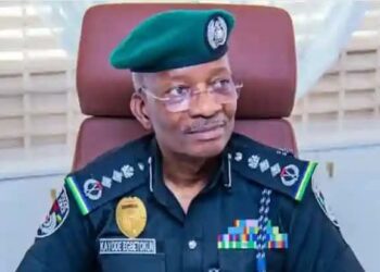 IGP Egbetokun’s Stand On Police Neutrality Is The Only Path To Restoring Public Trust, By Adewole Kehinde