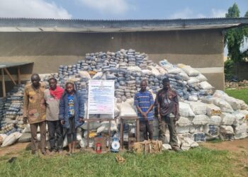 NDLEA Recovers 7.6m Tramadol Pills, 76,273kg Colorado, Skunk