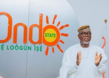 Accusing snail of moving too fast? Weird reflection of idle minds; borne out of frustration, by Kehinde Bisi-Taiwo