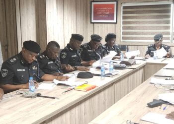 PSC Elevates AIG Gumel, CP Abaniwonda, ACP Ogechi, Other Senior Officers to Next Ranks